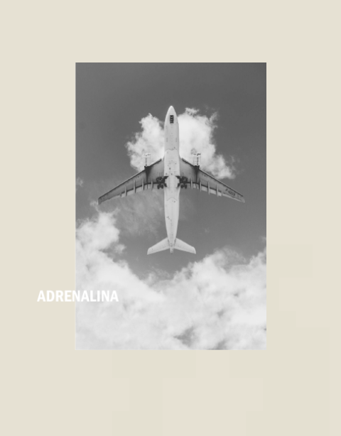 CAMISETA ADRENALINA OVERSIZE